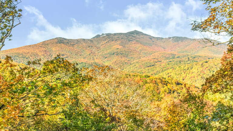 Great view looking toward Grandfather Mountain Great view looking toward Grandfather Mountain