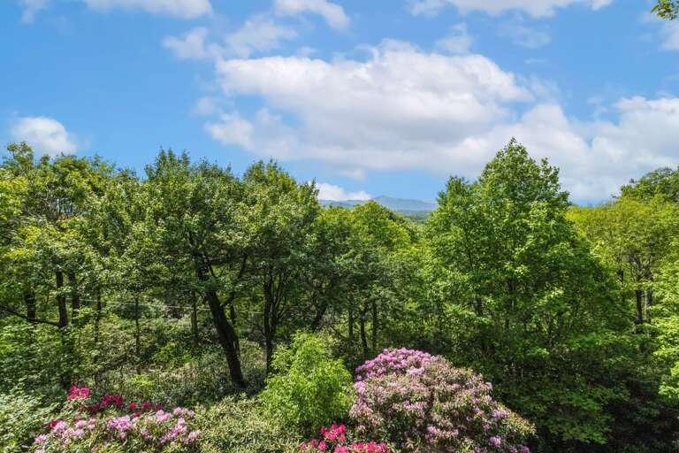 View of Grandfather Mountain View of Grandfather Mountain