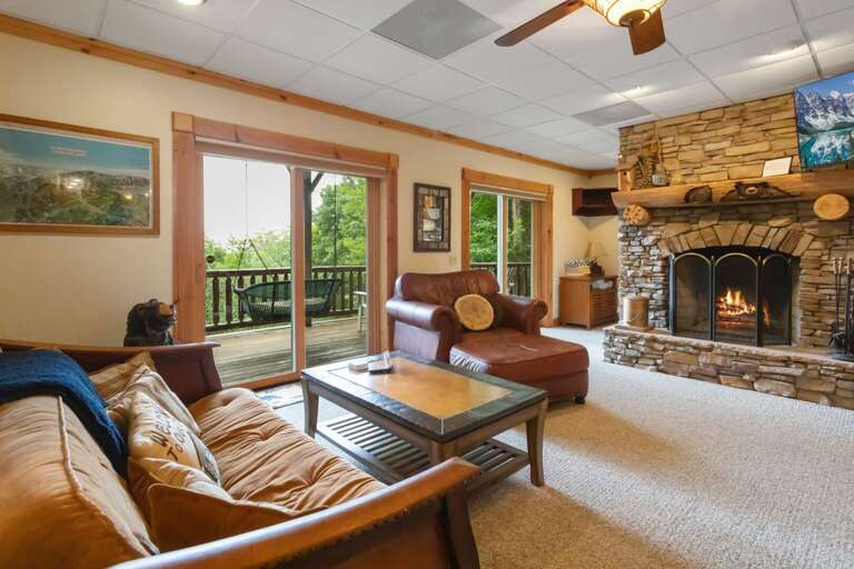 Lower Level Living Room with Futon (Sleeps Two)