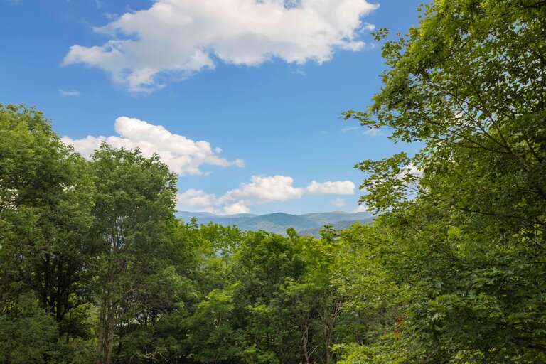 Long Range Mountain View