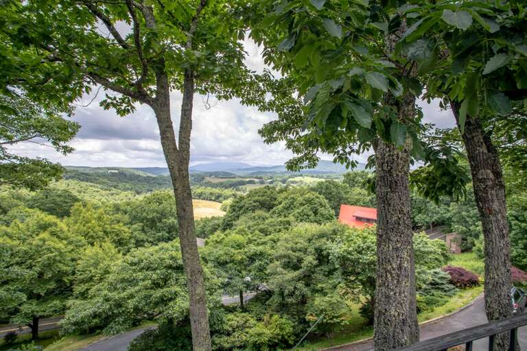 Views from Main Level Deck at Serendipity