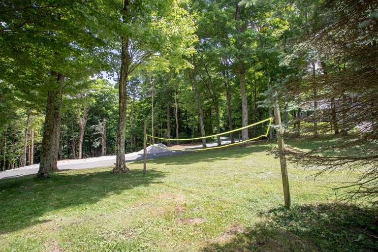 Huge yard for all sorts of games and frisbee and fun