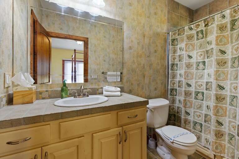 Lower Level Queen Suite Bathroom