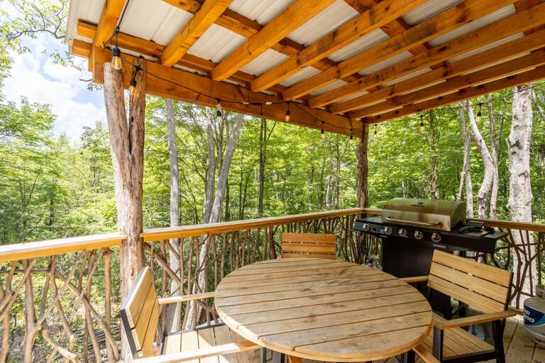 Gas Grill and Outdoor Dining