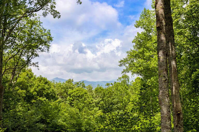 Mountain View from the Deck