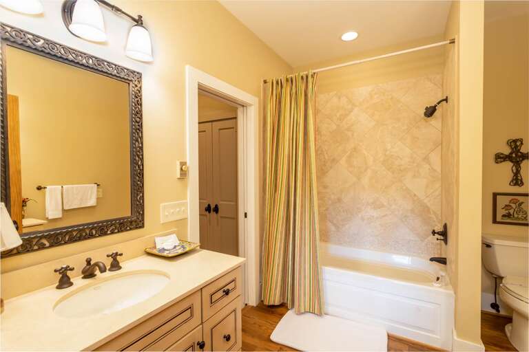 Lower Level Bathroom