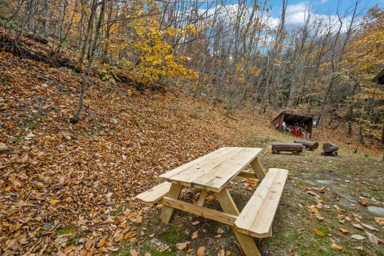 Picnic Table and Fire Pit Area