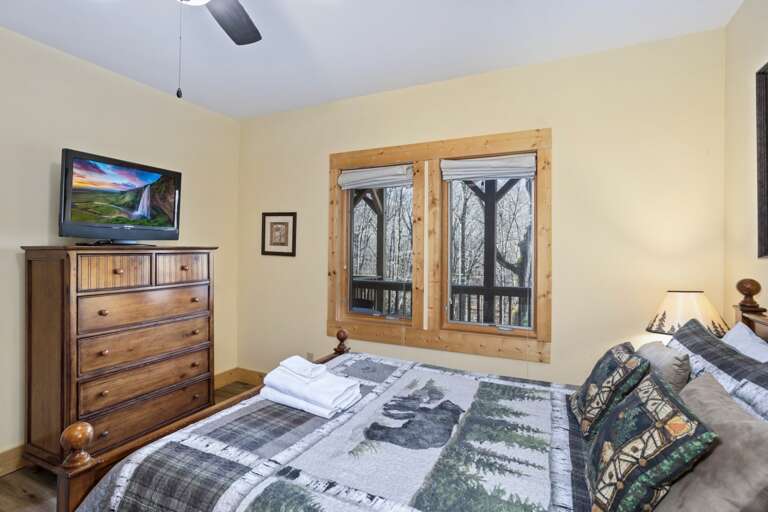 TV in the Lower Level Bedroom