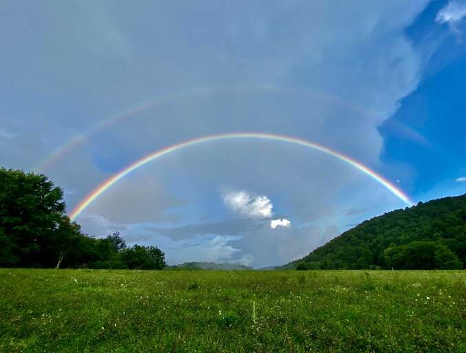 Large 3 acre Pasture/Yard in Front of Home for Walking and Playing