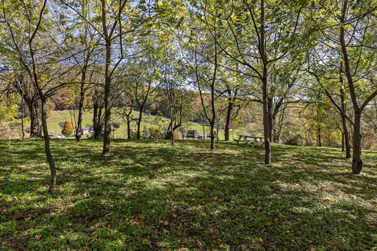 Room to Play or Picnic at the Table in the Yard