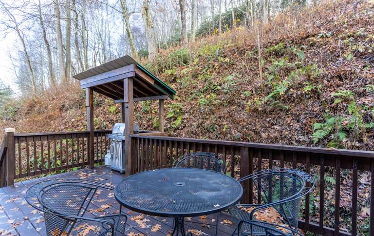 Outdoor Dining Table and Covered Gas Grill Outdoor Dining Table and Covered Gas Grill