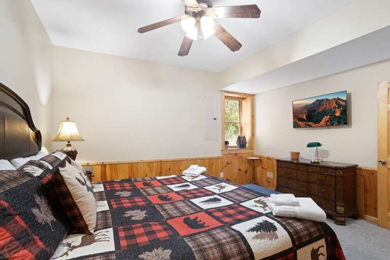 TV in the Lower Level King