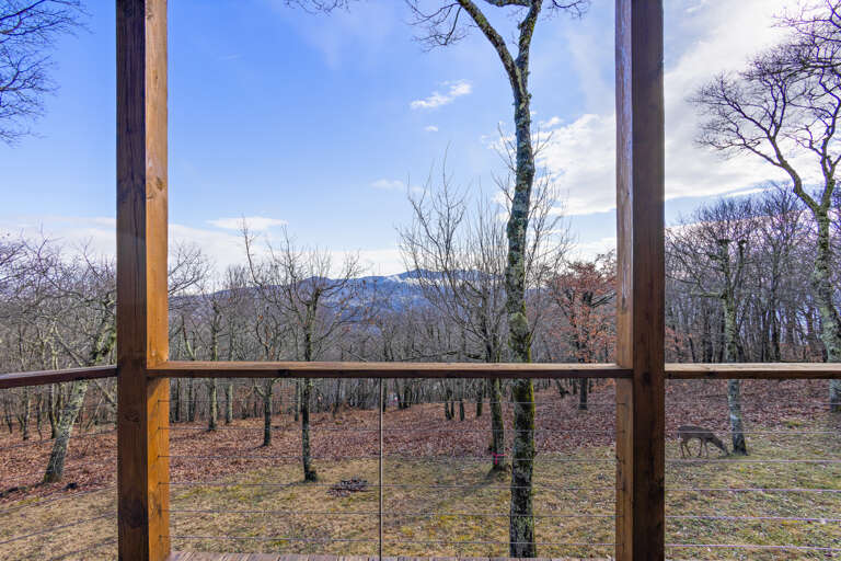 View of the Mountains and Beech Mountain Wildlife