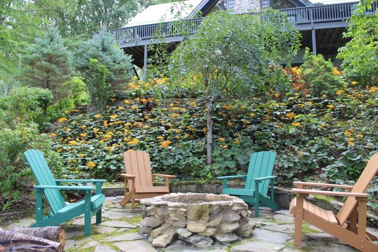 Fire Pit with Summer Foliage