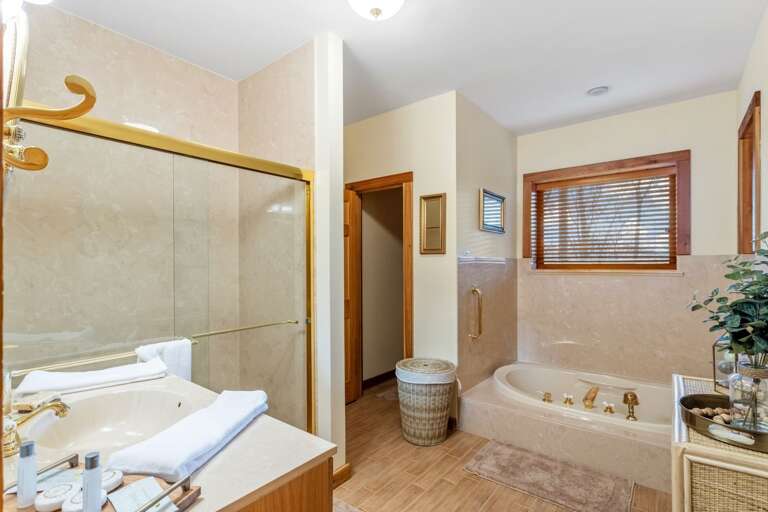 Lower Level Bathroom