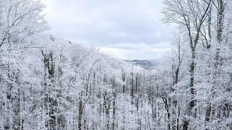 Beech Mountain Home Rental