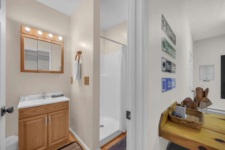 Lower Level Bathroom