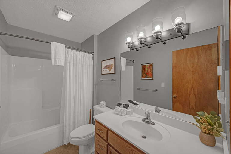 Lower Level Full Bathroom