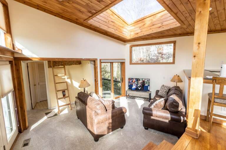 TV and Beautiful Skylight in the Living Area