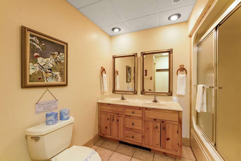 Lower Level Ensuite Bathroom