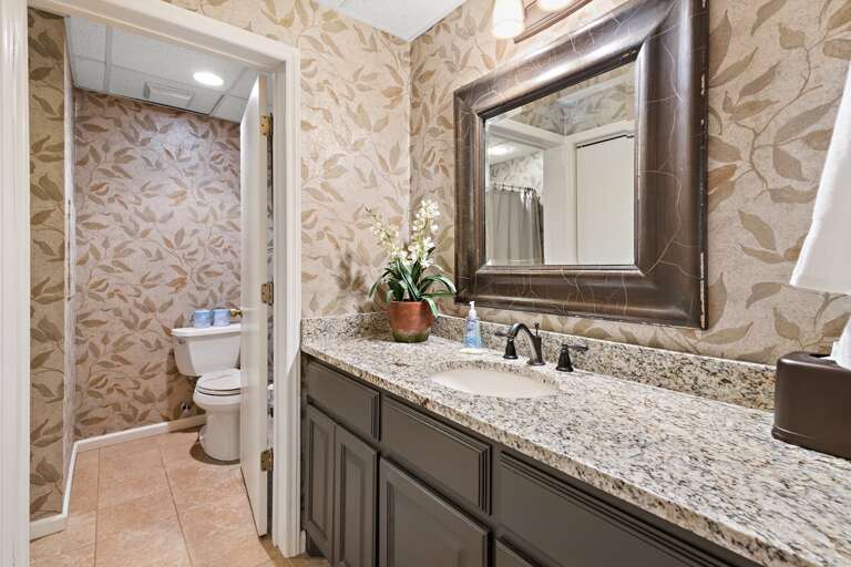 Full Bathroom on Lower Level