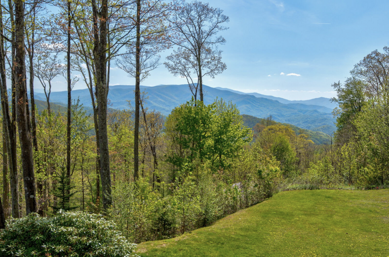 Spacious Sloping Back Yard