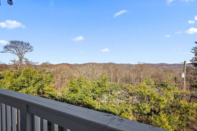 Long Range View from the Back Deck