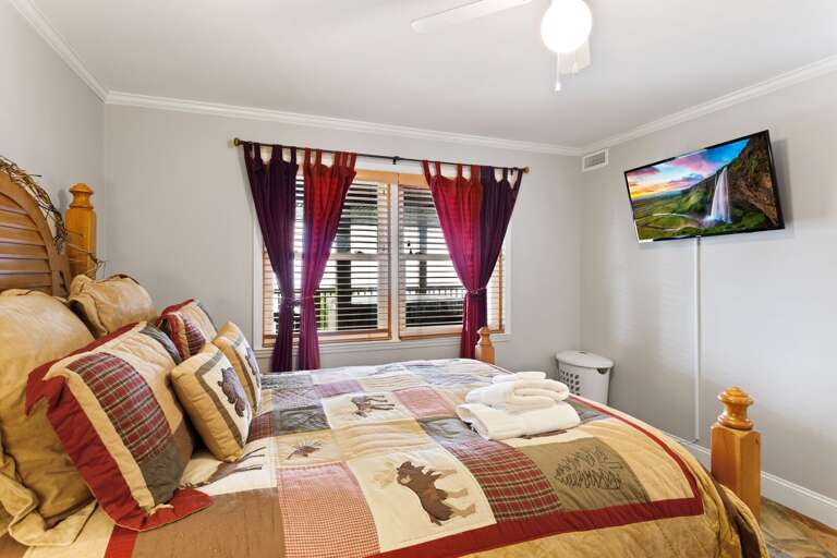 Lower Level Queen Bedroom with TV