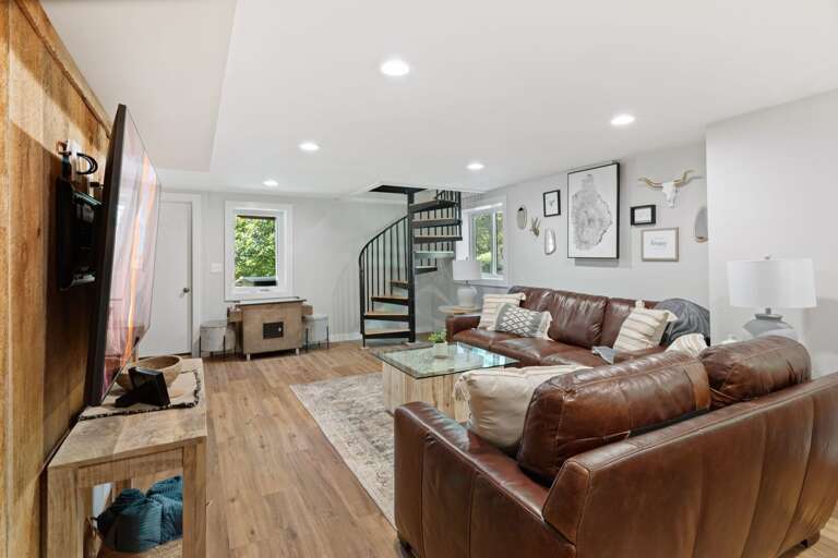 Basement Living Room