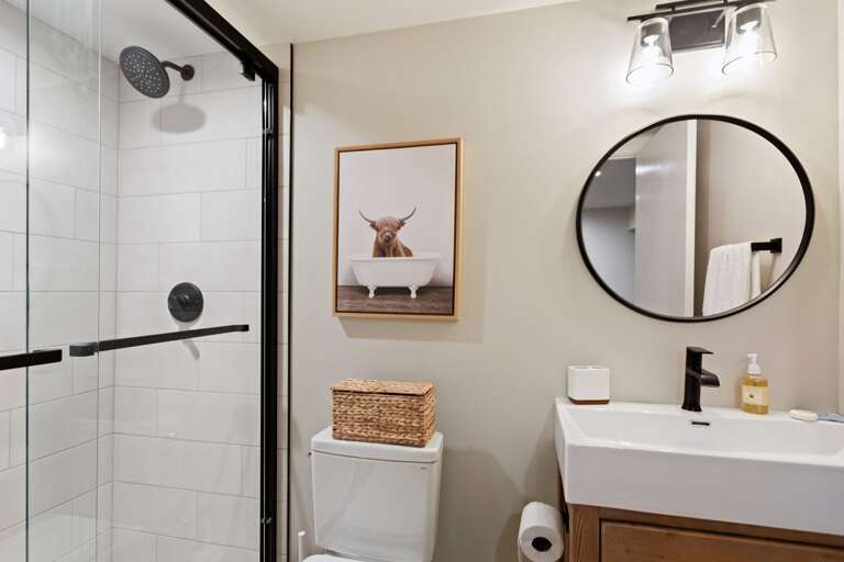 Full Basement Living Area Bathroom