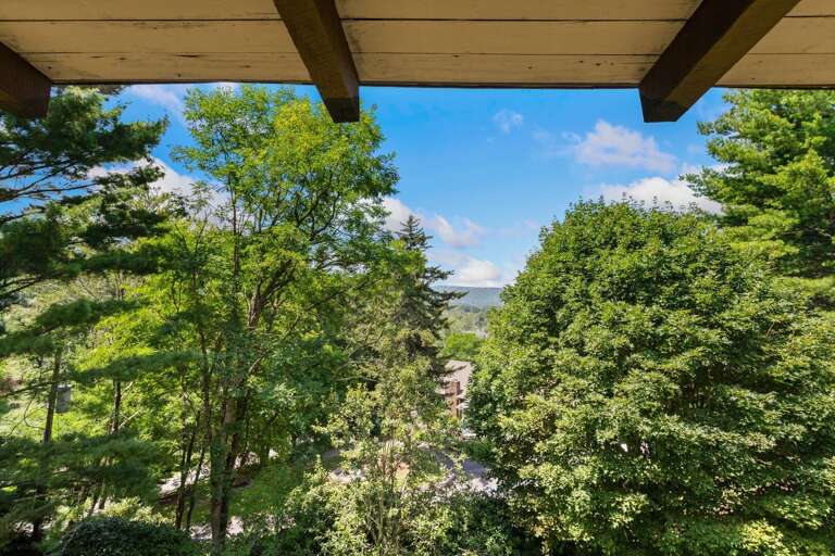 Seasonal Wooded and Mountain View from the Decks