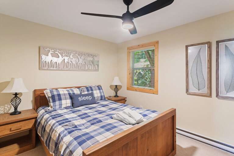 Queen Bedroom on the Lower Level