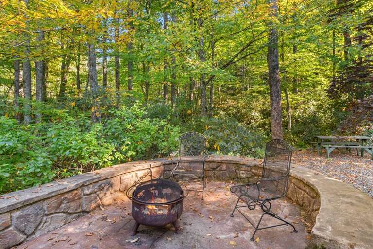 Wood Burning Fire Pit