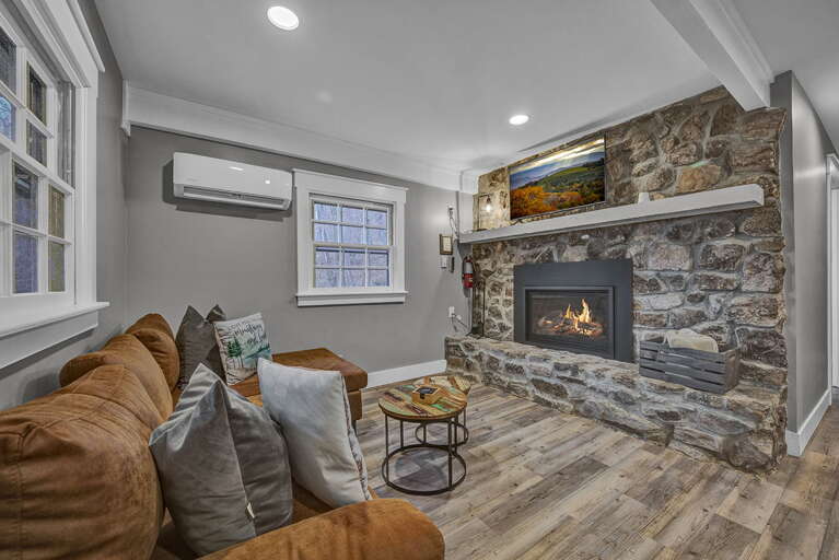 Lower Level Living Room