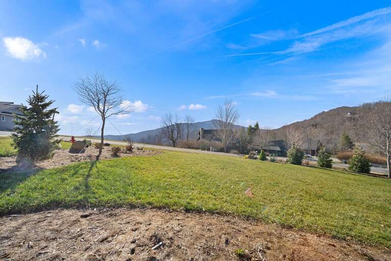 Grandfather Mountain View