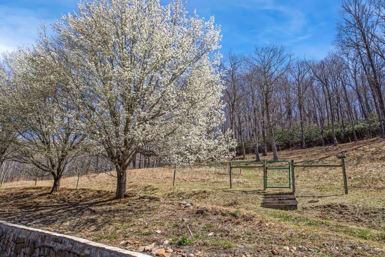 Follow The Path to Explore the Pastures