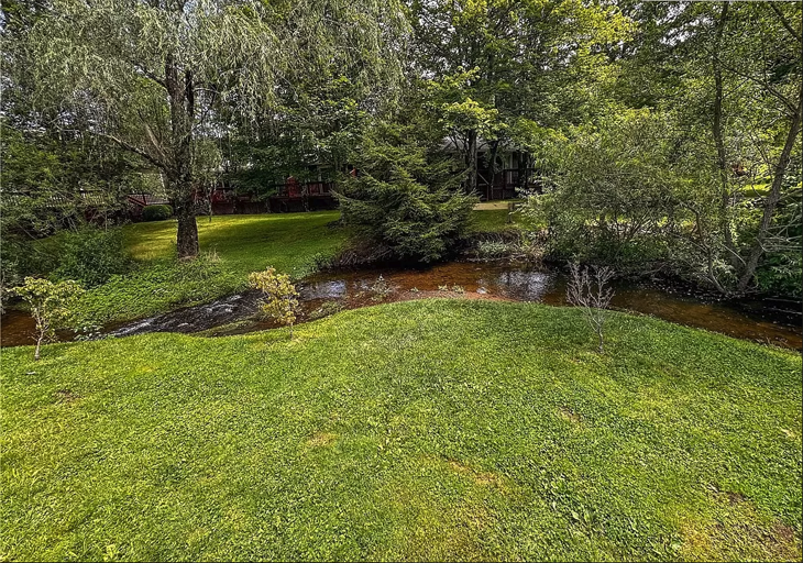 Peaceful Stream Runs Through the Area