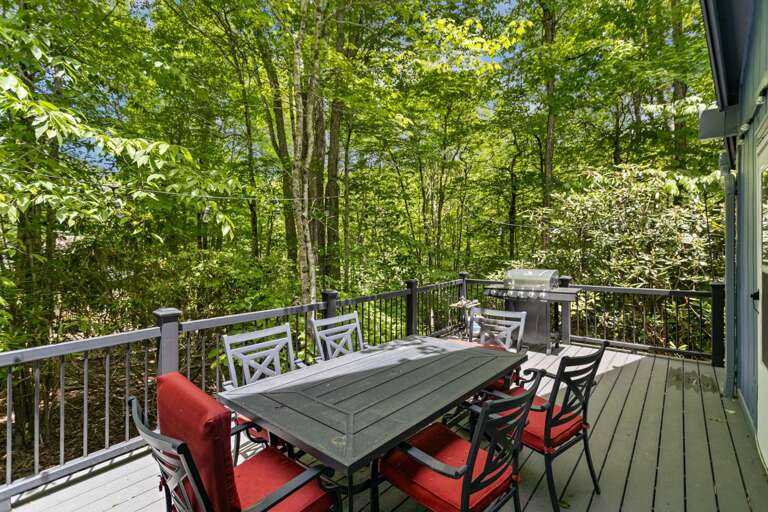 Outdoor Dining and Gas Grill