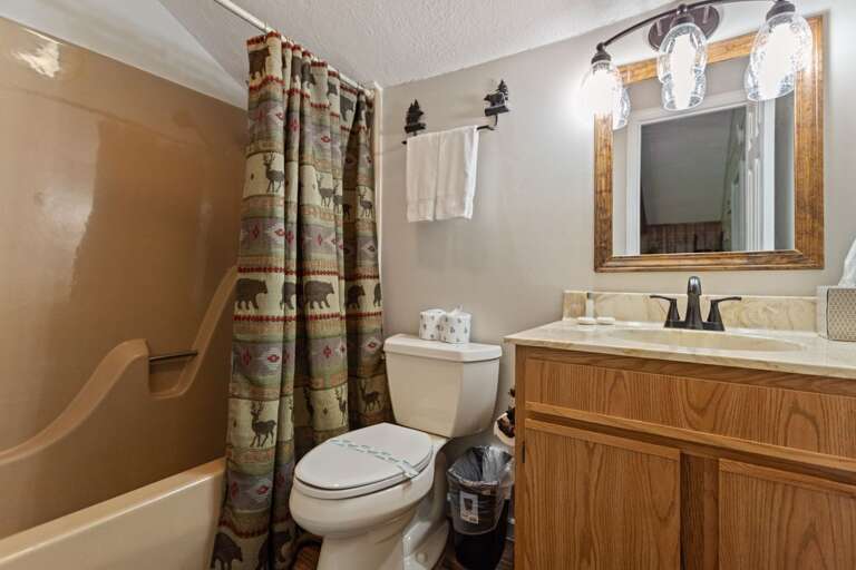 Top Floor Common Bathroom