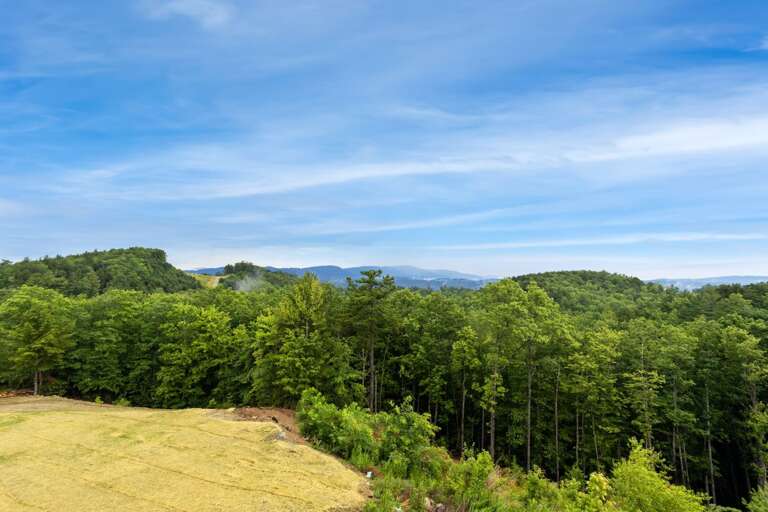 Mature Trees and Mountain Views Mature Trees and Mountain Views