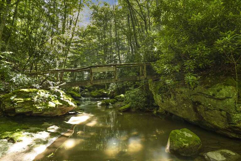 Bridge Crossing the Creek with Paths to Swimming Holes and Waterfalls Bridge Crossing the Creek with Paths to Swimming Holes and Waterfalls