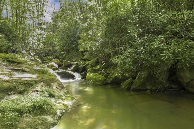 Swimming Holes Swimming Holes