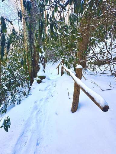 Trail to the Creek in the Snow Trail to the Creek in the Snow