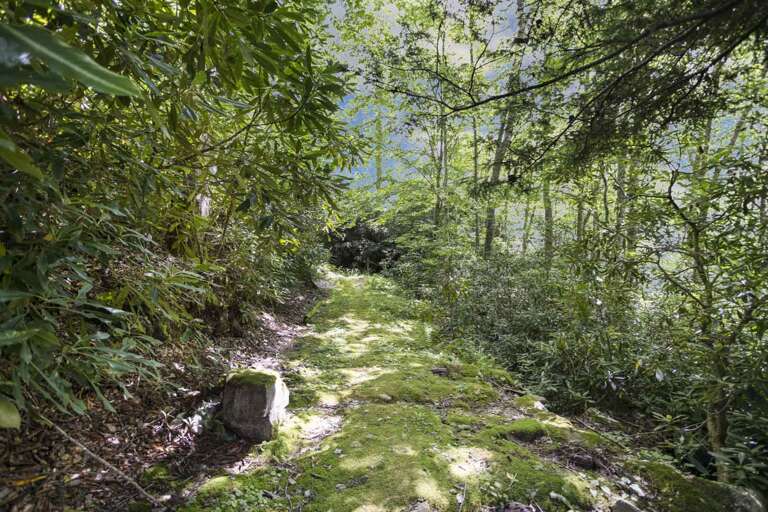 Trail Leading to the Creek Trail Leading to the Creek