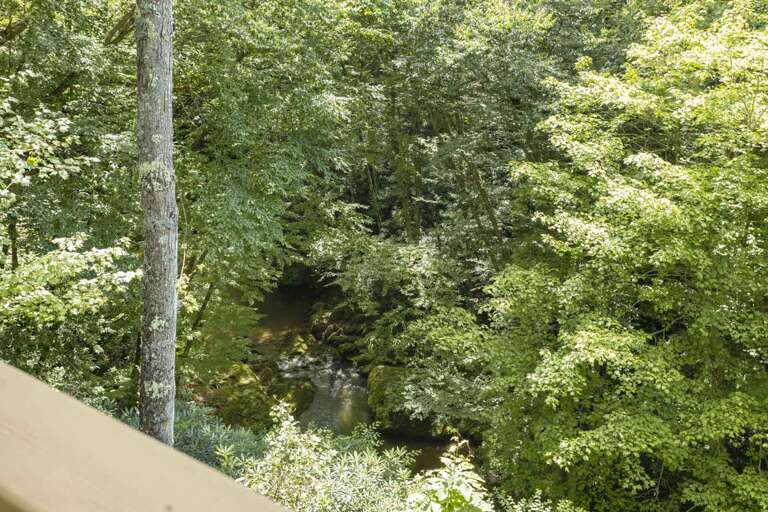 View of Buckeye Creek From the Cabin View of Buckeye Creek From the Cabin