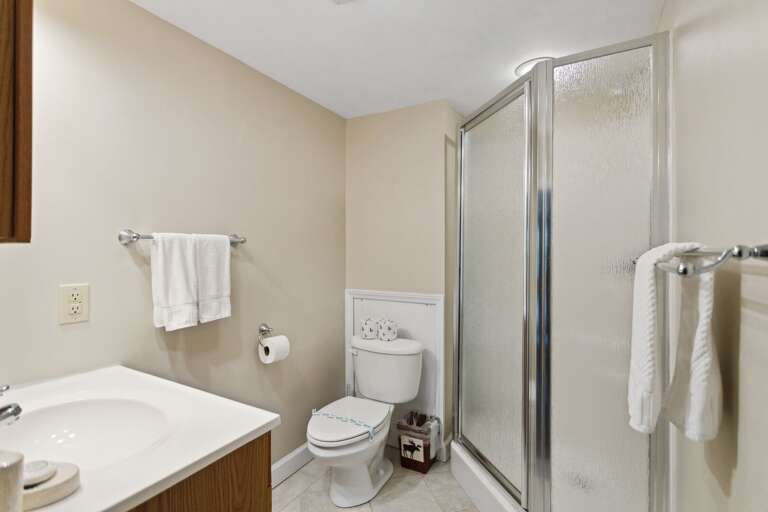 Lower Level Bathroom