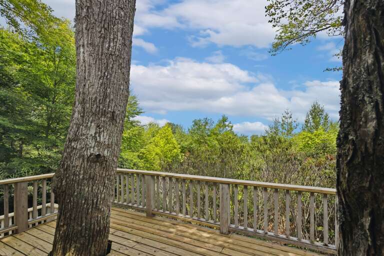 Main Floor Deck with Trees Growing In the Deck Creating a Treehouse Feel