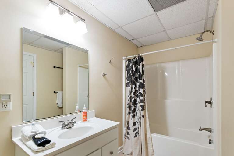 Lower Level Bathroom