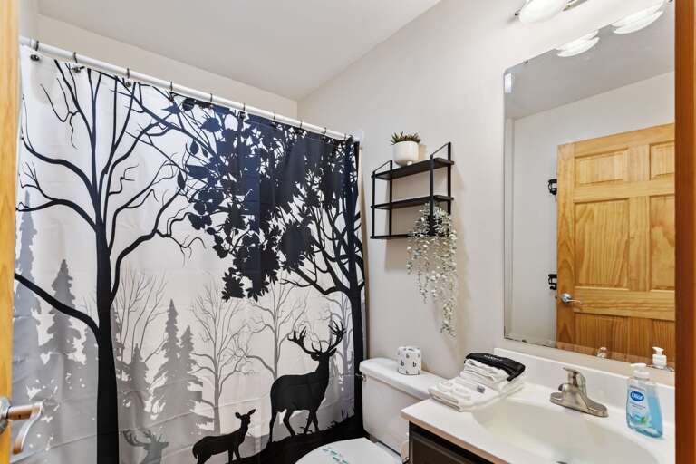 Main Level Common Bathroom