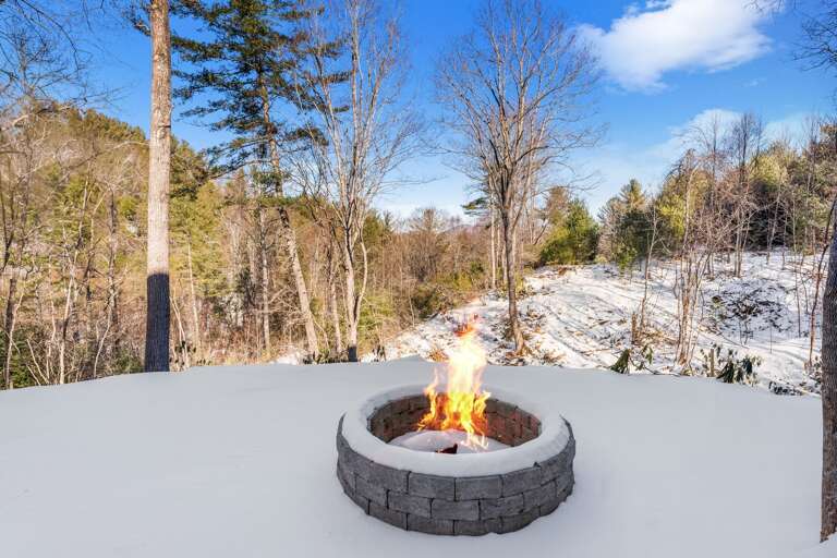 Fire Pit in the Back Yard